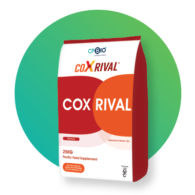 coxrival_bag