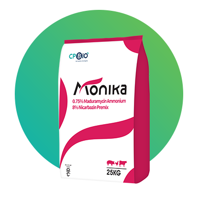 monika_bag