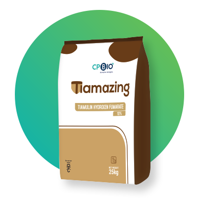 tiamazing_bag